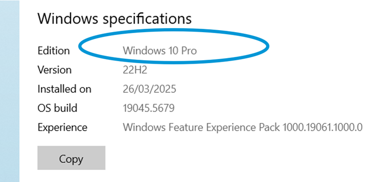 Showing identification of a device's operating system - Windows 10 Pro