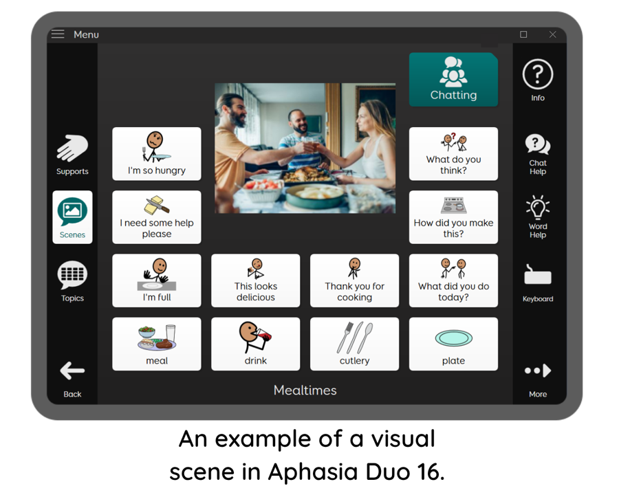 Screen showing an example of a visual scene in Aphasia Dup 16